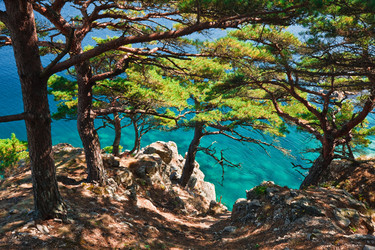 Similar image 399300