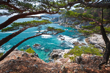 Similar image 399310