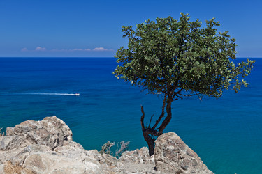 Similar image 399338