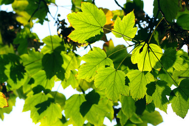 Similar image 399399