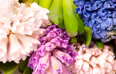 Similar image 399410