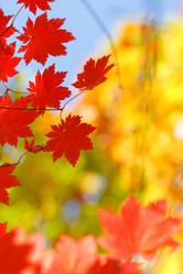 Similar image 399449