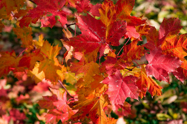 Similar image 399451