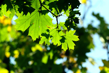 Similar image 399453