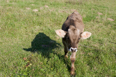 Similar image 399468