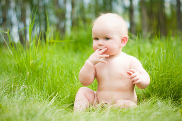 Similar image 399482