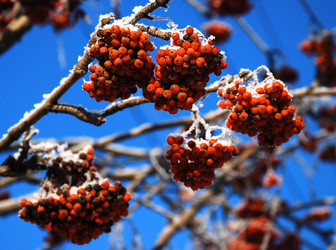 Similar image 399518