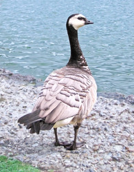 Similar image 399521