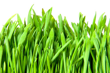 Similar image 399540