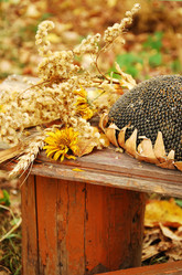 Similar image 399565