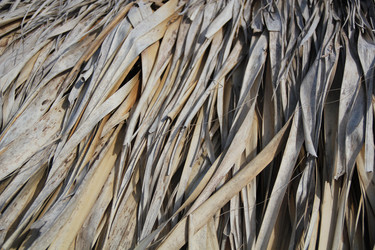 Similar image 399569