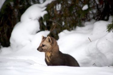 Similar image 399572