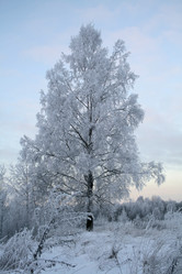 Similar image 399620