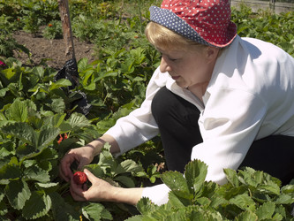 Similar image 399634