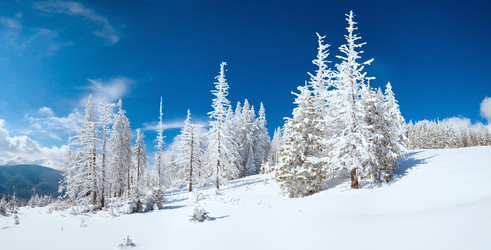 Similar image 399637