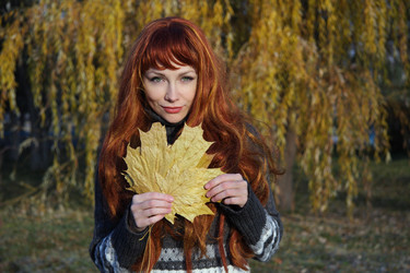 Similar image 399674