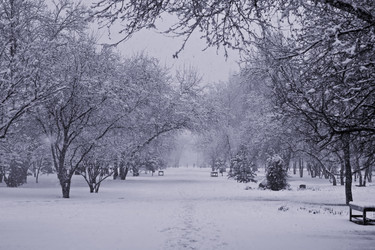 Similar image 399693