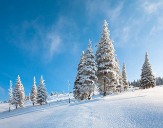 Similar image 399695