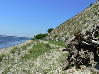 Similar image 399697