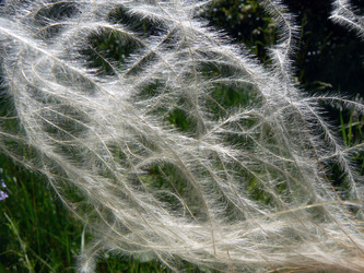 Similar image 399705