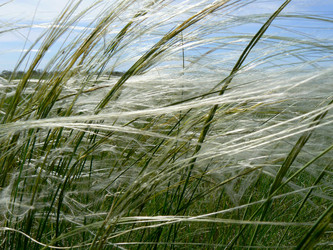 Similar image 399706