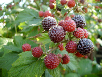 Similar image 399728