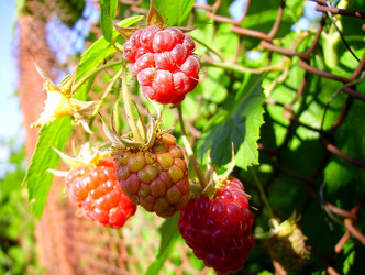 Similar image 399729