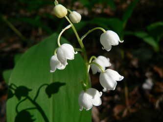 Similar image 399732