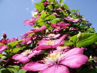 Similar image 399751