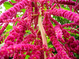 Similar image 399754