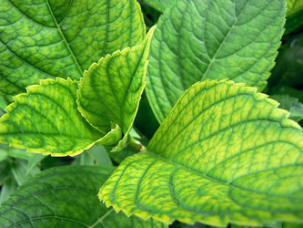 Similar image 399763