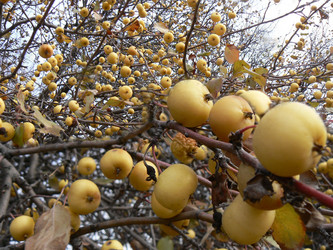 Similar image 399771