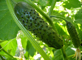 Similar image 399775