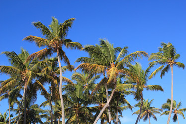 Similar image 399786