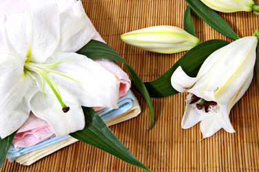 Similar image 399816