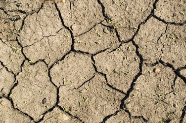 Similar image 399825