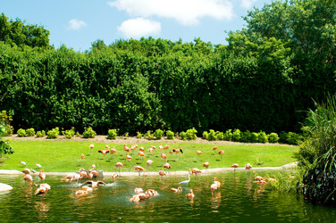 Similar image 399872