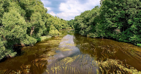 Similar image 399893