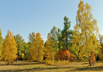 Similar image 399899