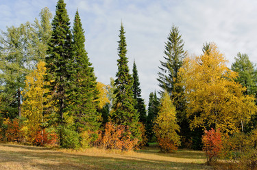 Similar image 400010