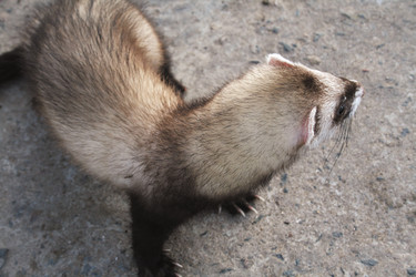 Similar image 400021