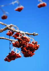 Similar image 400034