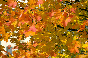 Similar image 400060