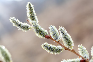 Similar image 400087