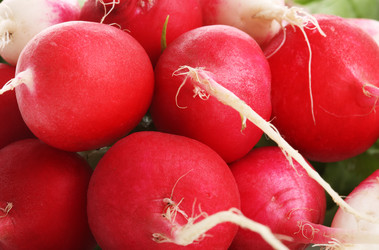 Similar image 400094