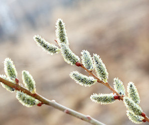 Similar image 400159