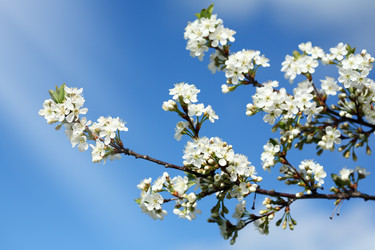 Similar image 400160