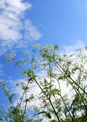 Similar image 400162