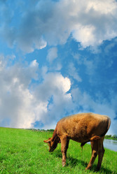 Similar image 400166