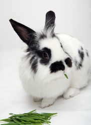 Similar image 400194